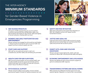 Minimum Standard Poster